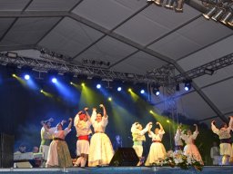 Festival de Folkore en Mula